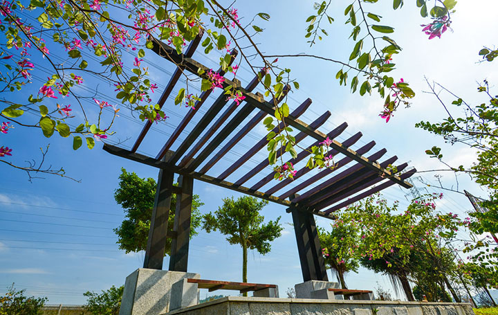 【庭院元素】花園廊架——春開花顏，夏落涼蔭