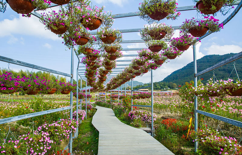 【庭院元素】花園廊架——春開花顏，夏落涼蔭