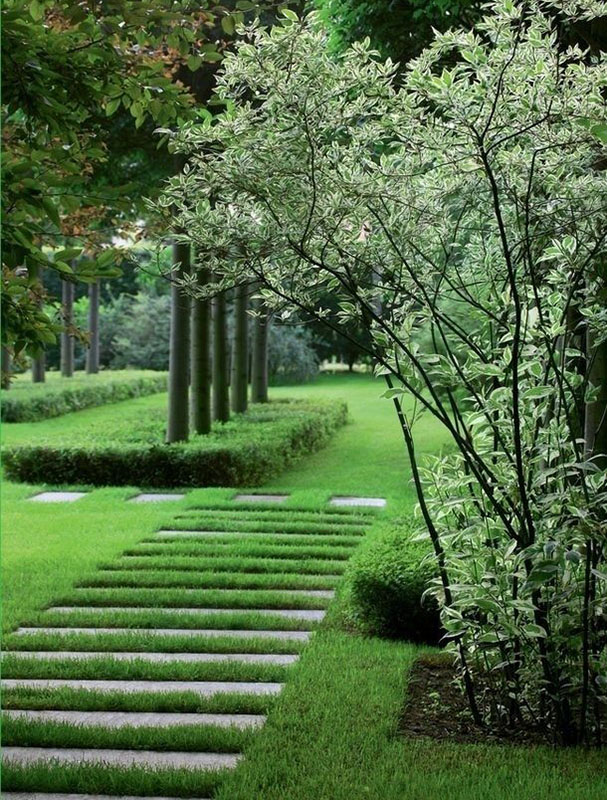 花園小徑，帶你探索花園里的一步一景