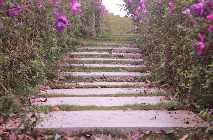 花園小徑，帶你探索花園里的一步一景