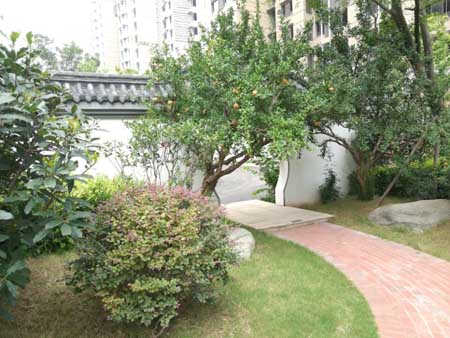 實景圖