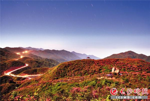 長(zhǎng)沙：億年的冰川遺跡，邂逅十萬(wàn)畝杜鵑花海