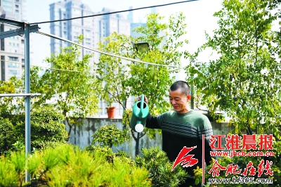 合肥蜀山區(qū)達人分享屋頂種花小竅門